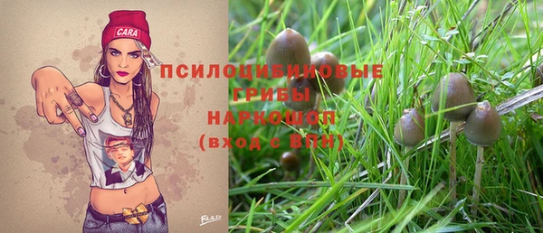 спайс Горняк
