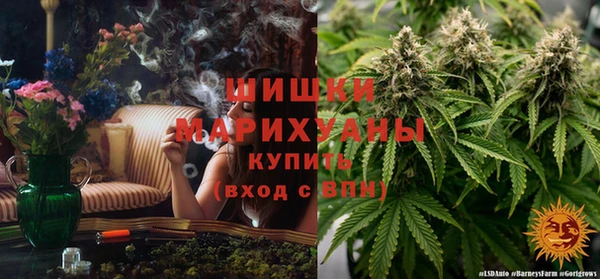 спайс Горняк